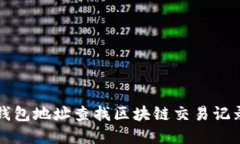 如何通过TP钱包地址查找区块链交易记录与资产信