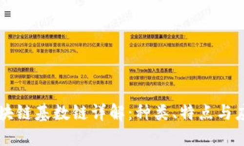 区块链基数链详解：种类、特点与应用