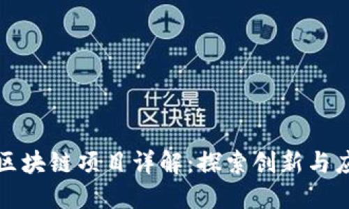 全南综合区块链项目详解：探索创新与应用的未来