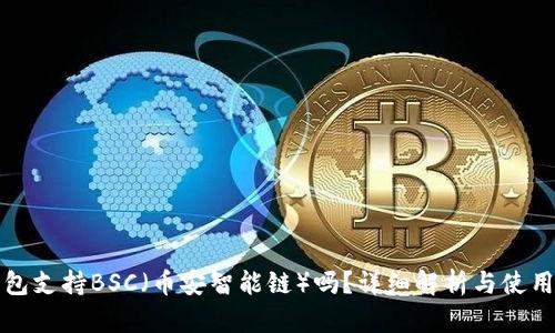 TP钱包支持BSC（币安智能链）吗？详细解析与使用指南